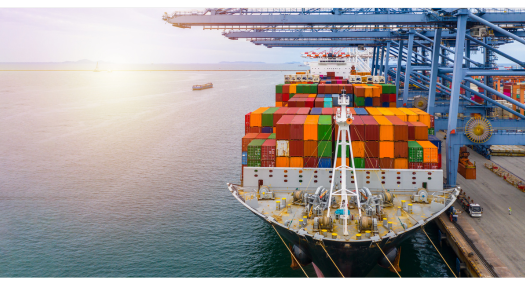 Lenteurs de l´automatisation portuaire : questions-réponses avec AllRead  