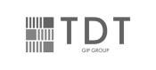 TDT